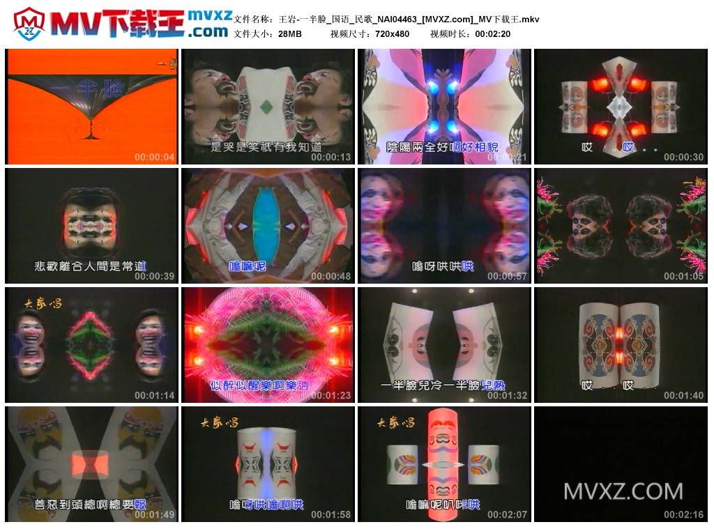 王岩-一半脸_国语_民歌_NAI04463